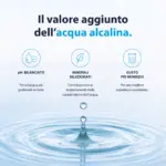 Shurity Alkara Depuratore acqua Osmosi inversa diretta - 2 Vie Acqua Liscia con filtro Alcalino - immagine 7